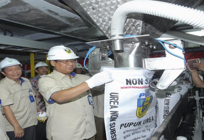 Target Pusri 950.000 Ton Pupuk Tersalur Untuk  Perkebunan 